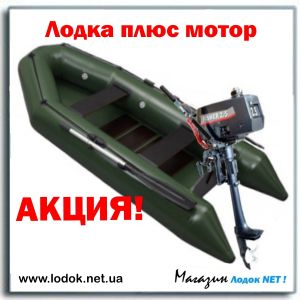 Надувная моторная лодка Energy B300 плюс мотор 2.5 л.с., купить Украина Киев